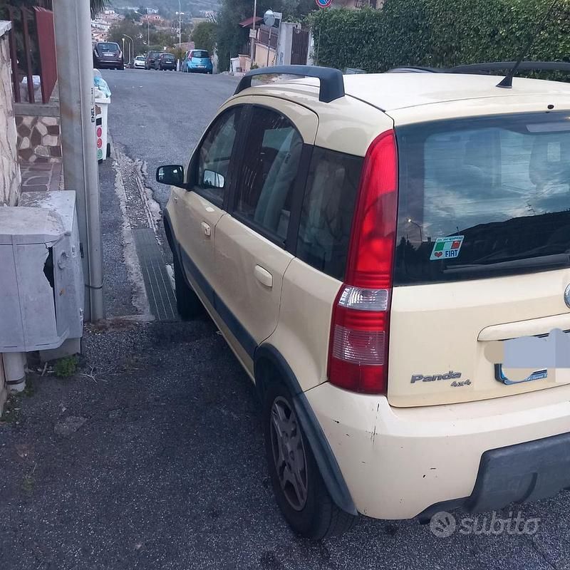 Usata Fiat Panda 4x4 Climbing 69 CV (50 kW) 2007 Giallo Utilitaria