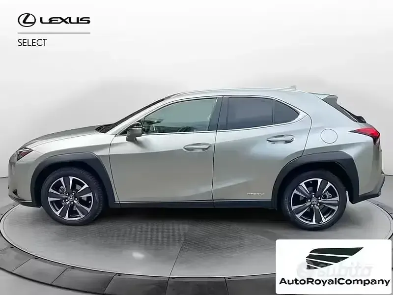 Usata Lexus UX 183 CV (134 kW) 2019 Grigio SUV
