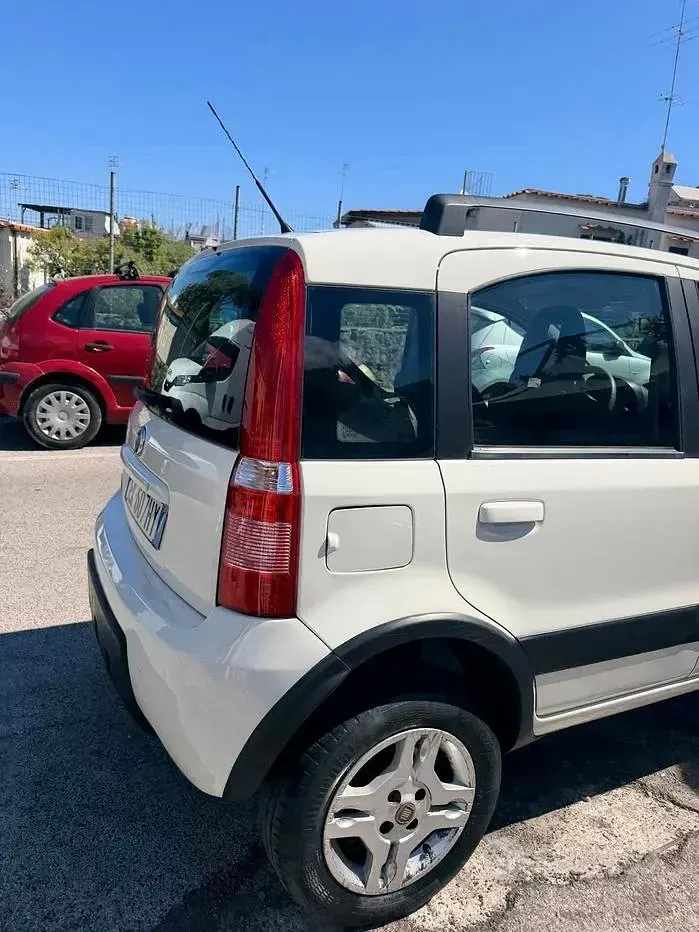 Usata Fiat Panda 4x4 Climbing 75 CV (55 kW) 2011 Bianco Utilitaria
