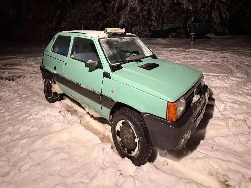 Usata Fiat Panda 4x4 Trekking 54 CV (39 kW) 1997 Verde Utilitaria