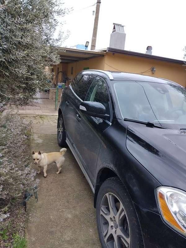 Usata Volvo XC60 Kinetic 163 CV (119 kW) 2011 SUV