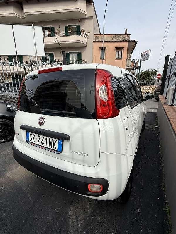 Usata Fiat Panda Launch Edition 69 CV (50 kW) 2022 Utilitaria
