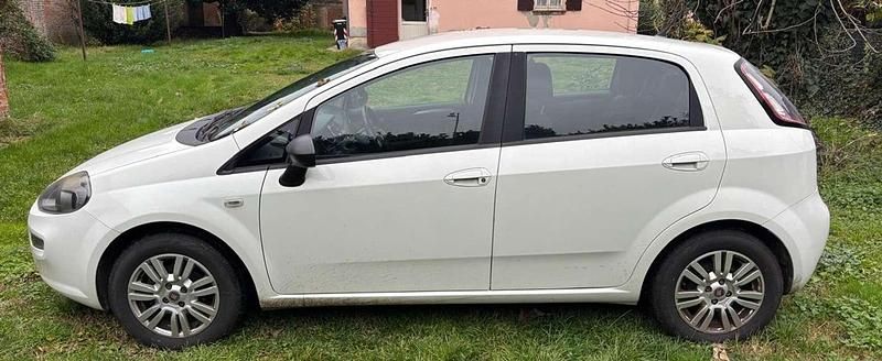 Usata Fiat Punto Lounge 75 CV (55 kW) 2013 Bianco Berlina