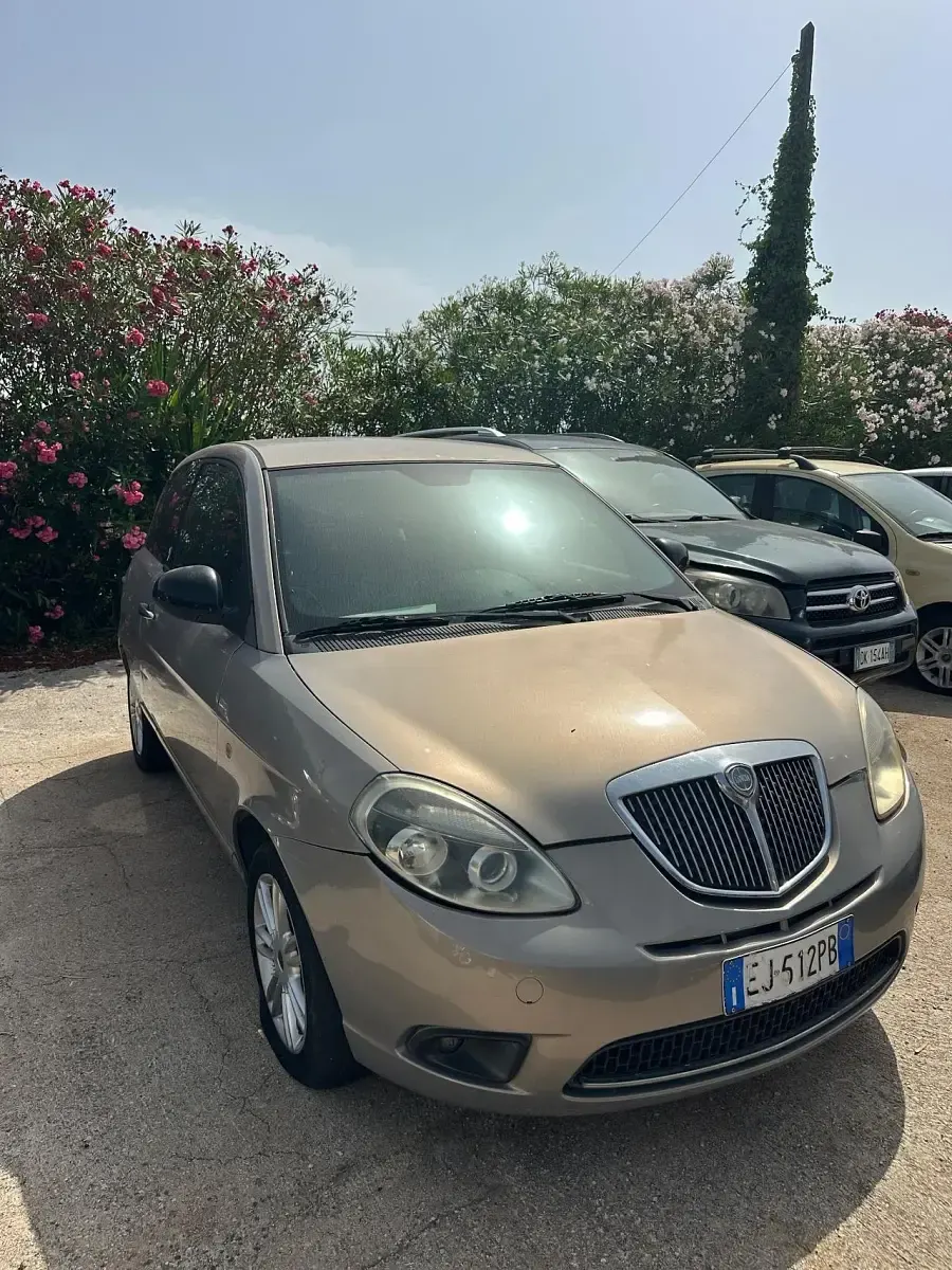 Usata Lancia Ypsilon 75 CV (55 kW) 2011 Beige Utilitaria