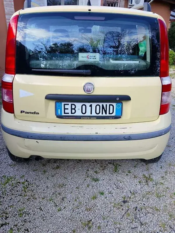 Usata Fiat Panda Dynamic 69 CV (50 kW) 2010 Giallo Utilitaria