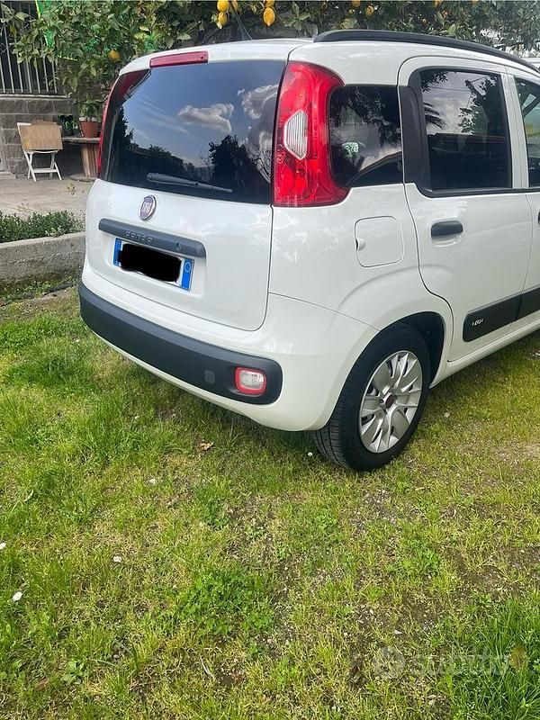 Usata Fiat Panda 69 CV (50 kW) 2019 Bianco Utilitaria