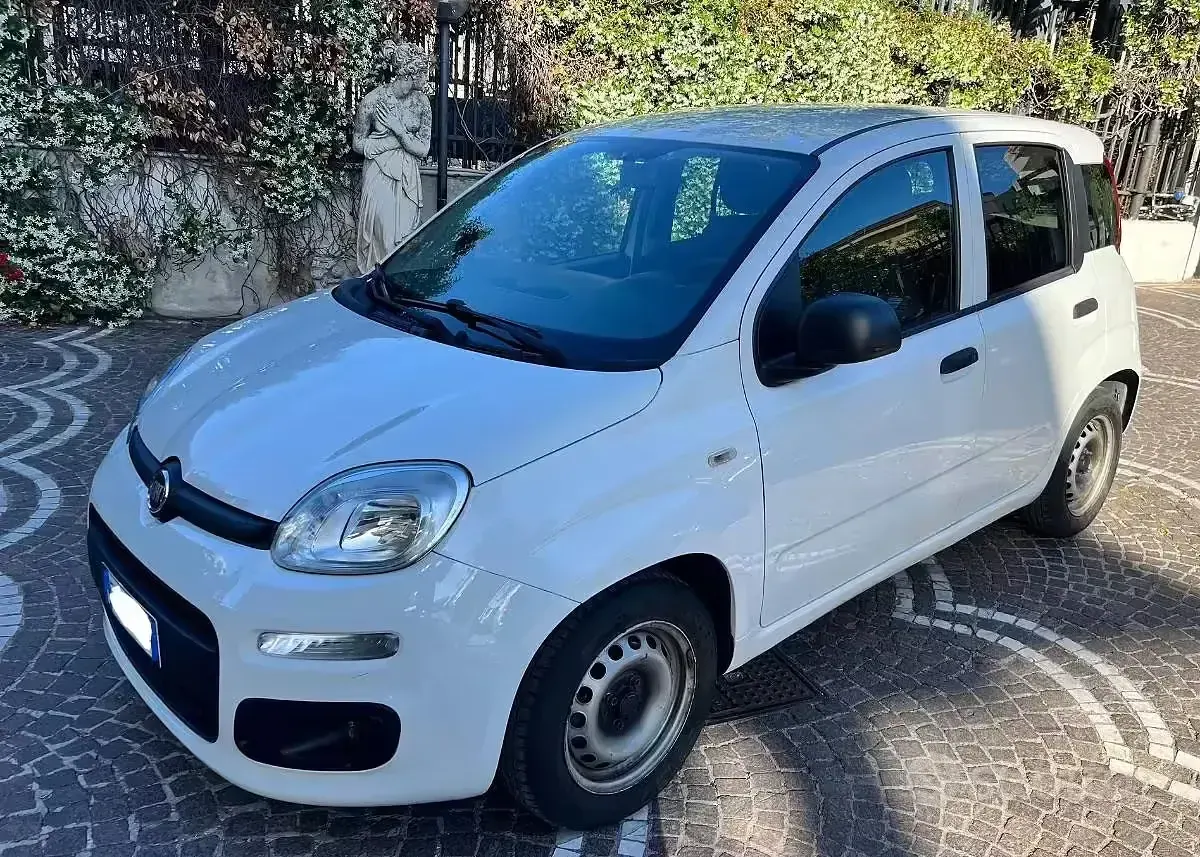 Usata Fiat Panda S 75 CV (55 kW) 2014 Bianco Utilitaria