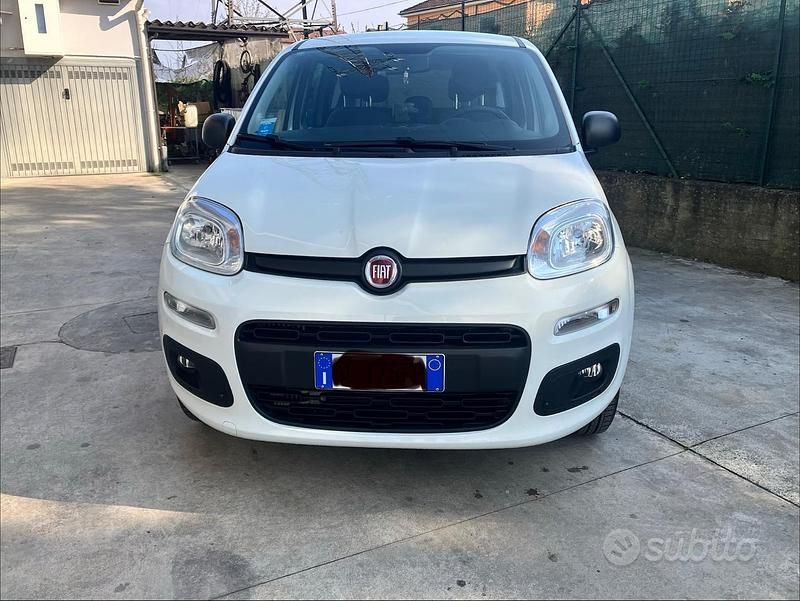Usata Fiat Panda Easy 70 CV (51 kW) 2020 Bianco Utilitaria