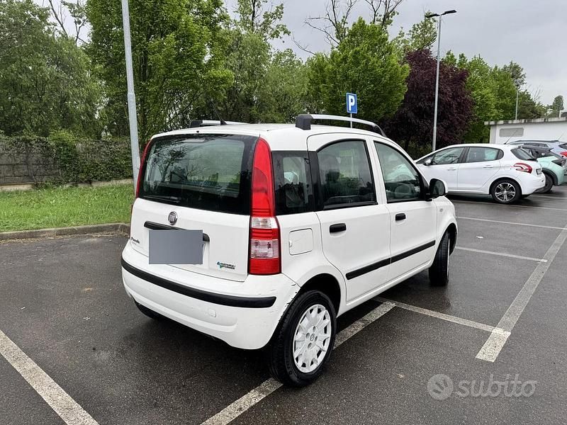 Usata Fiat Panda 77 CV (56 kW) 2010 Bianco Utilitaria
