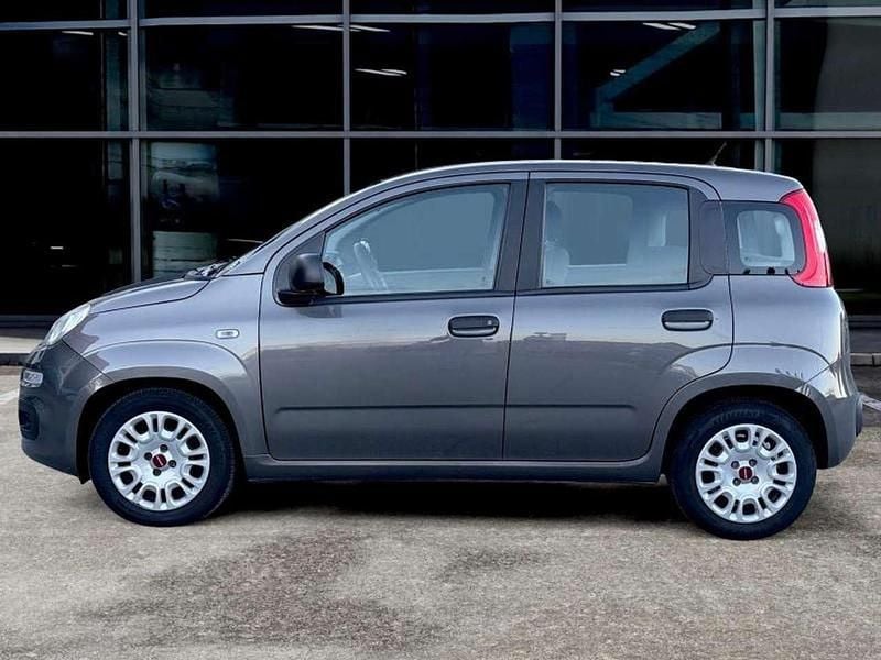 Usata Fiat Panda 70 CV (51 kW) 2021 Grigio Utilitaria