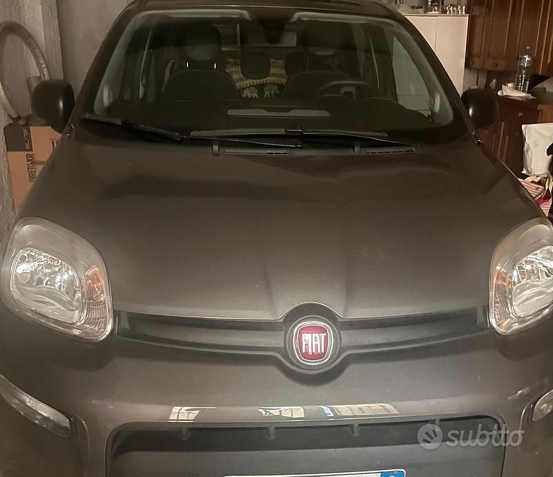 Usata Fiat Panda 2023 Utilitaria
