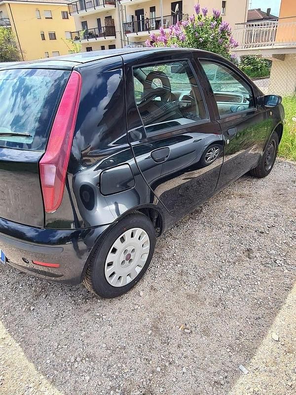 Usata Fiat Punto 60 CV (44 kW) 2009 Nero Utilitaria