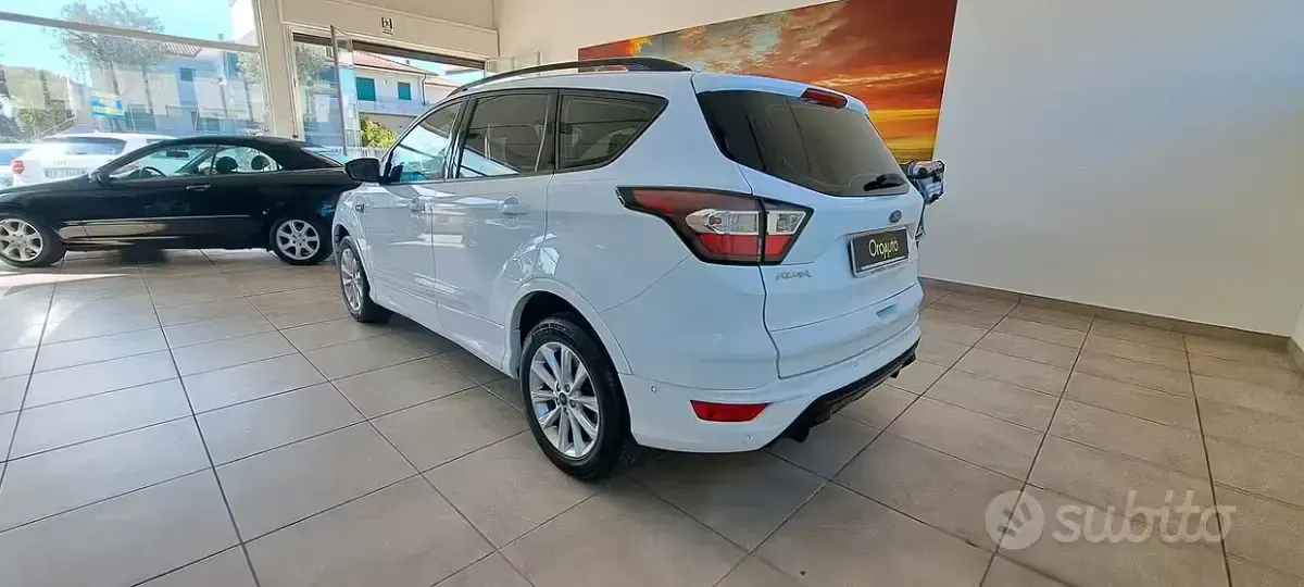 Usata Ford Kuga ST-Line 120 CV (88 kW) 2019 Bianco SUV