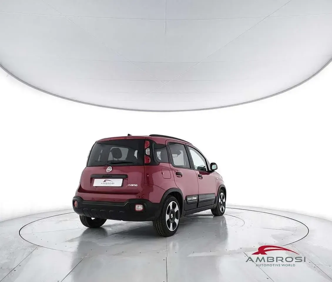 Usata Fiat Panda Cross Cross 69 CV (50 kW) 2025 Rosso Utilitaria