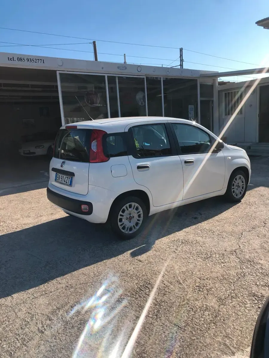 Usata Fiat Panda Dynamic 75 CV (55 kW) 2012 Bianco Utilitaria