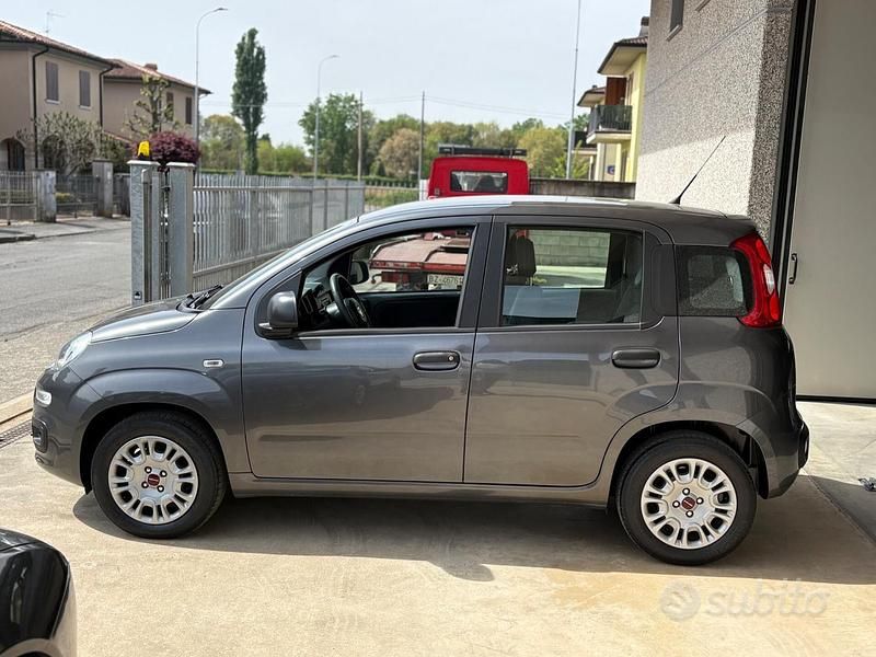 Usata Fiat Panda Lounge 69 CV (50 kW) 2018 Grigio Utilitaria