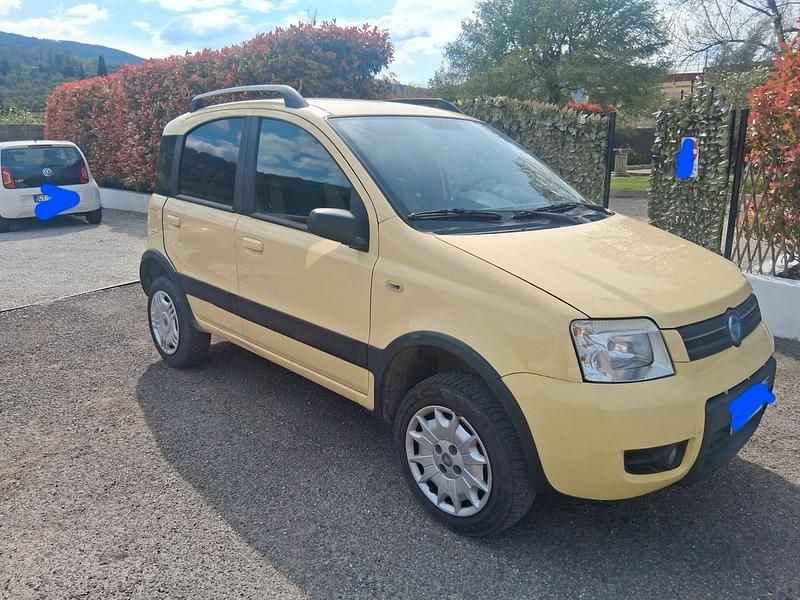 Usata Fiat Panda 4x4 Climbing 59 CV (43 kW) 2007 Giallo Utilitaria