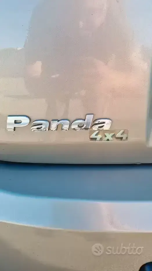 Usata Fiat Panda 4x4 69 CV (50 kW) 2010 Utilitaria