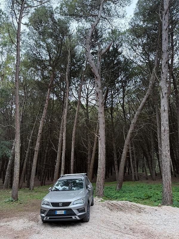 Usata Seat Ateca 115 CV (84 kW) 2016 Grigio SUV