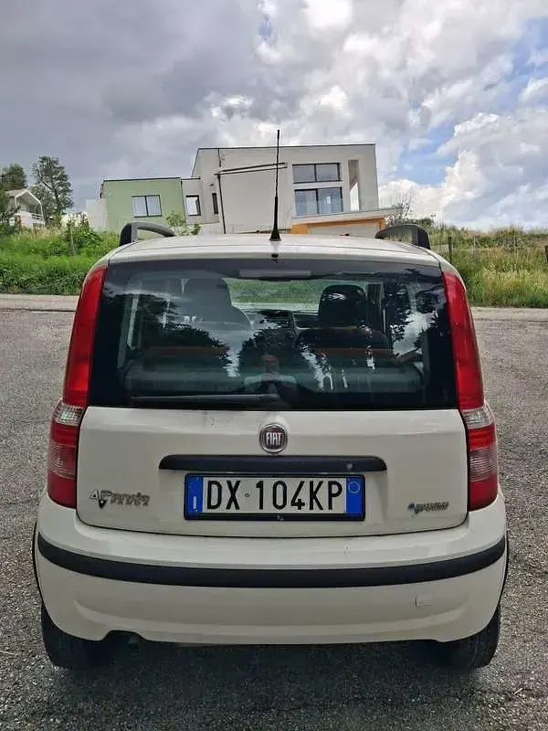 Usata Fiat Panda Dynamic 60 CV (44 kW) 2009 Utilitaria