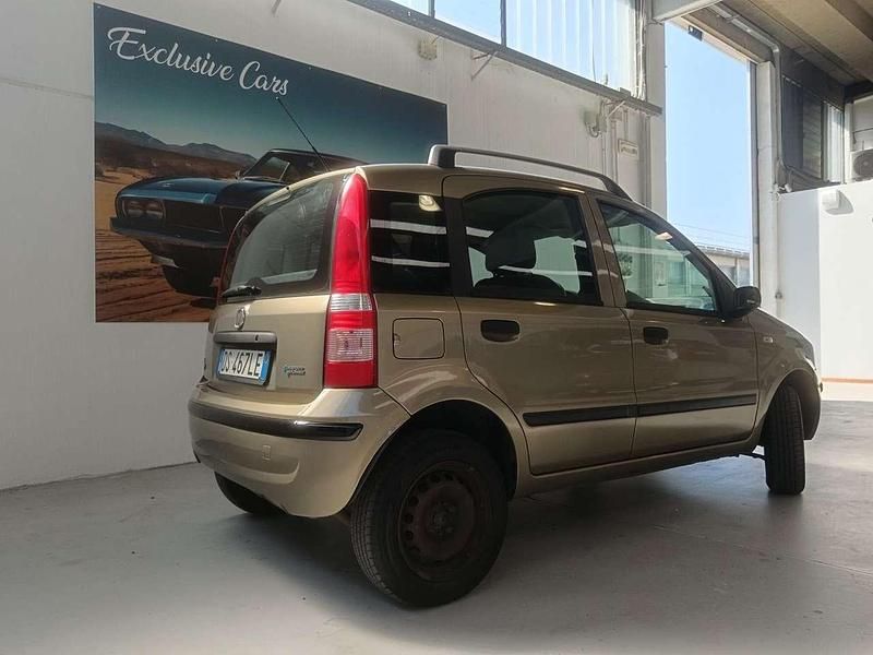 Usata Fiat Panda Dynamic 60 CV (44 kW) 2008 Bronzo Utilitaria