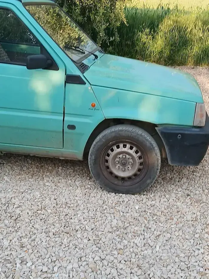 Usata Fiat Panda 39 CV (28 kW) 2000 Verde Utilitaria