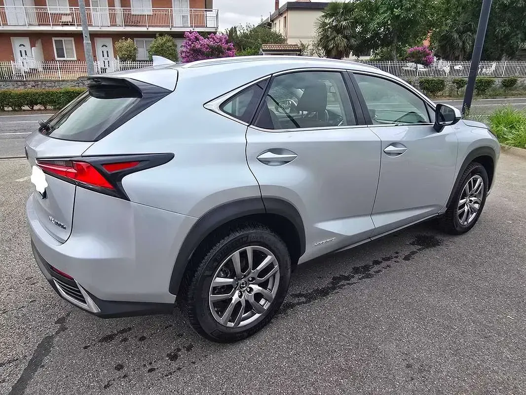 Usata Lexus NX300h Business Edition 155 CV (114 kW) 2019 Argento SUV