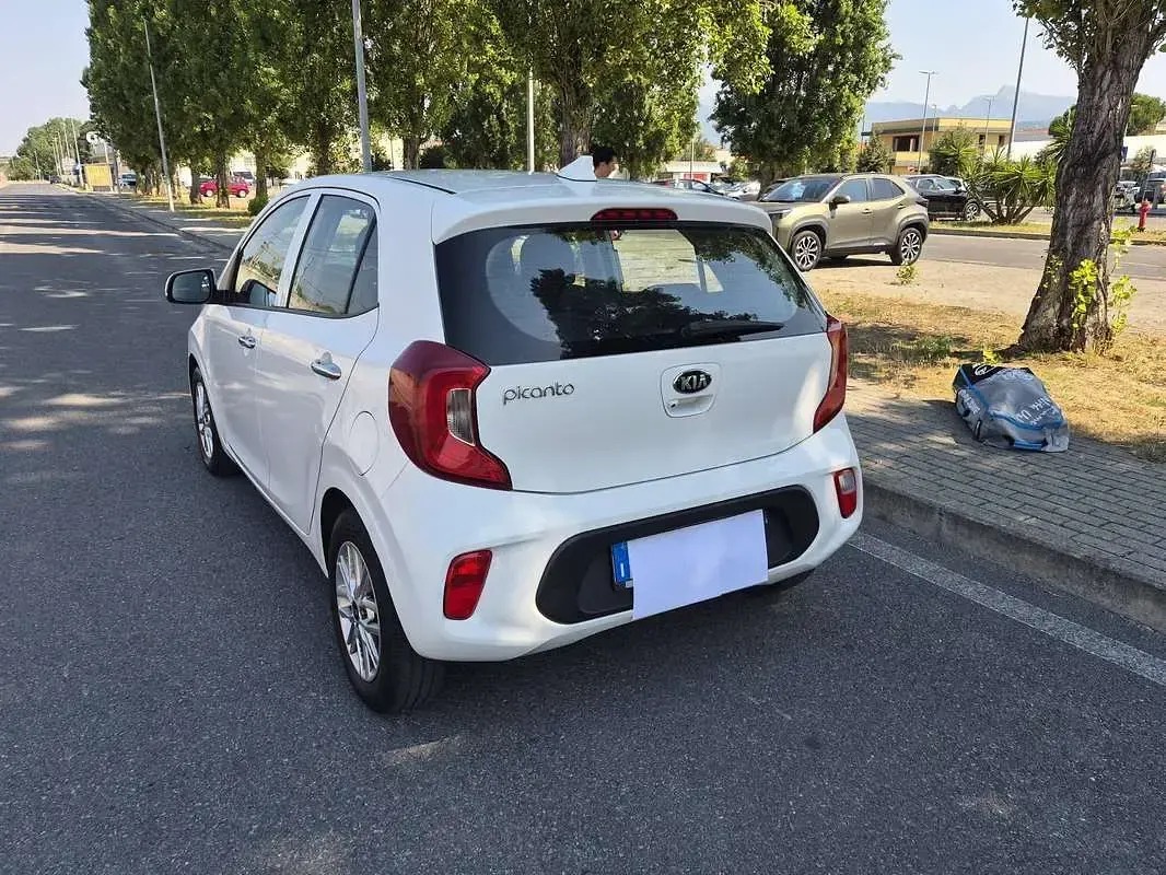 Usata Kia Picanto Style 67 CV (49 kW) 2021 Bianco Utilitaria