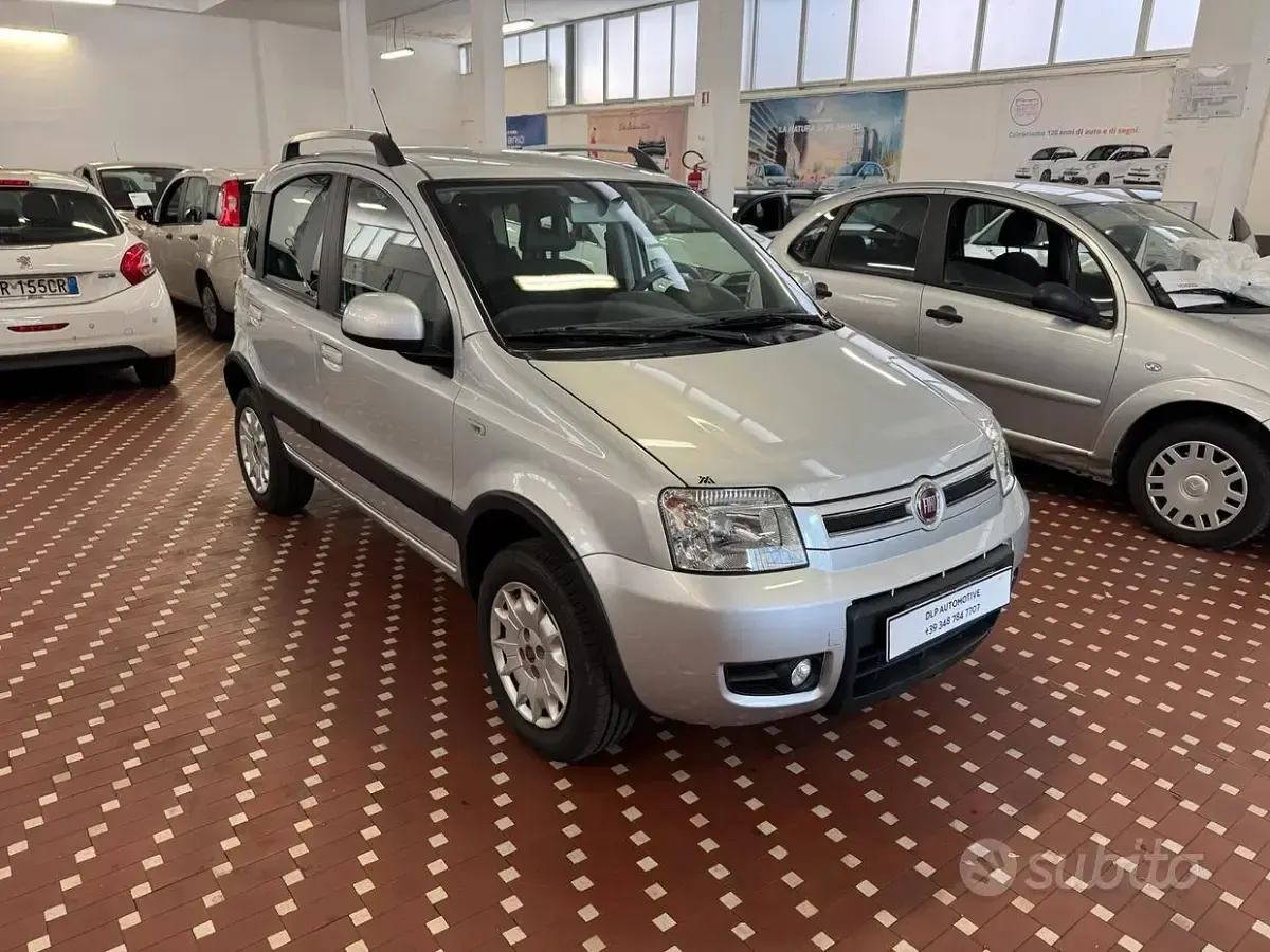Usata Fiat Panda 4x4 Climbing 69 CV (50 kW) 2012 Grigio Utilitaria