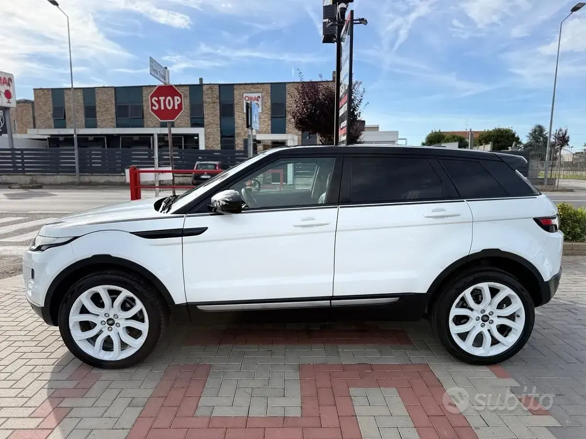 Usata Land Rover Range Rover evoque Dynamic 150 CV (110 kW) 2015 Bianco SUV