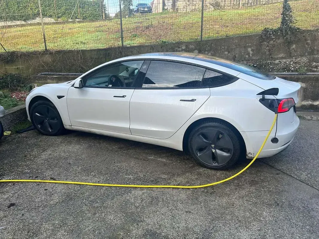 Occasion Tesla Model 3 Standard Range 88 kW (120 ch) 2020 Blanc Berline