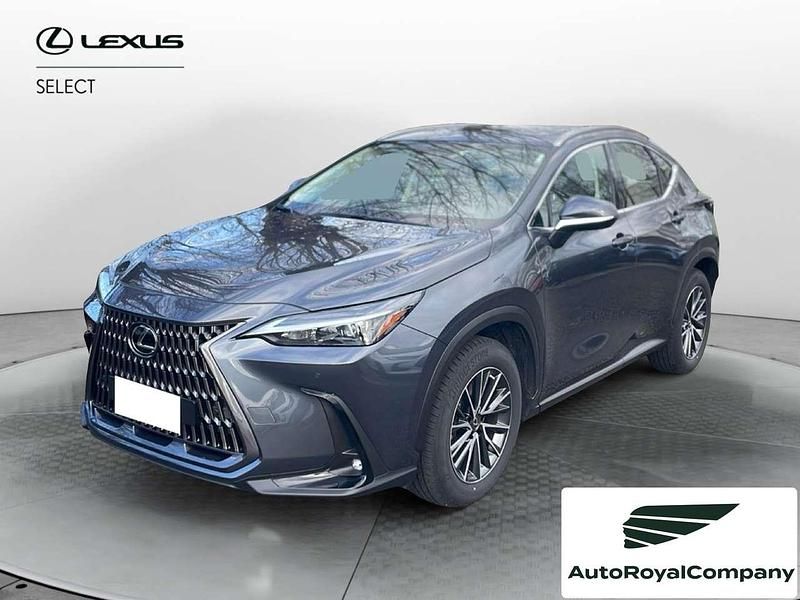 Usata Lexus NX300 Business Edition 243 CV (178 kW) 2023 Grigio SUV