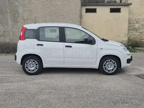 Nuova Fiat Panda Pop 65 CV (47 kW) 2026 Bianco Utilitaria