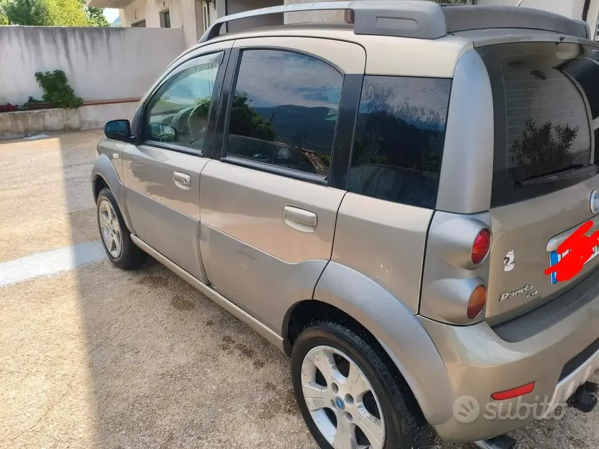 Usata Fiat Panda 4x4 Cross 2006 Verde Utilitaria