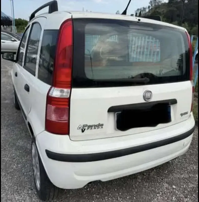 Usata Fiat Panda Dynamic 60 CV (44 kW) 2009 Bianco Utilitaria