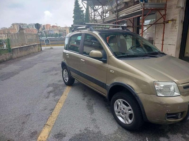 Usata Fiat Panda 4x4 Climbing 69 CV (50 kW) 2010 Bronzo Utilitaria