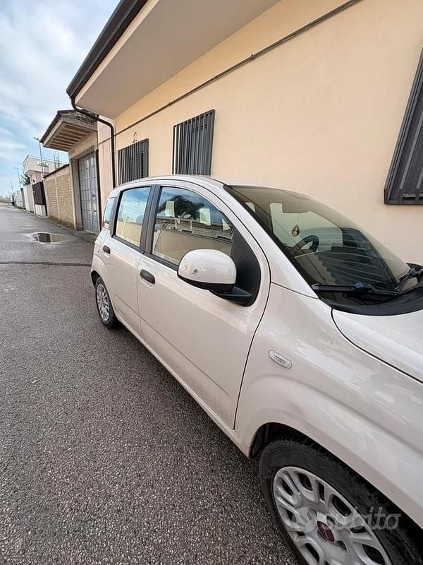 Usata Fiat Panda 69 CV (50 kW) 2016 Utilitaria