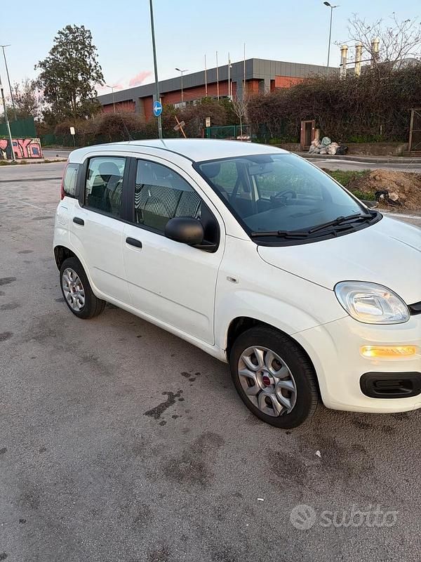 Usata Fiat Panda 2017 Bianco Utilitaria