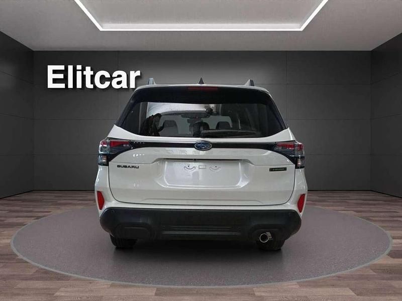 Nuova Subaru Forester 4dventure 150 CV (110 kW) 2026 Bianco SUV