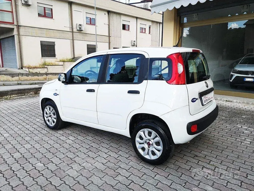 Usata Fiat Panda Easy 84 CV (61 kW) 2020 Bianco Utilitaria