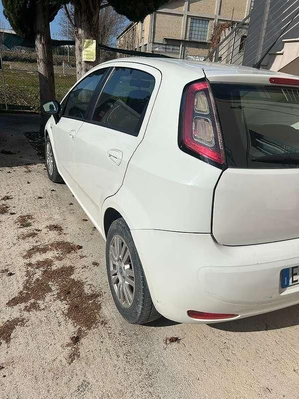 Usata Fiat Punto Lounge 75 CV (55 kW) 2014 Bianco Utilitaria