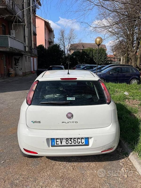 Usata Fiat Punto 77 CV (56 kW) 2014 Bianco Utilitaria