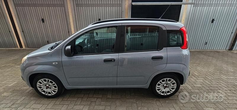 Usata Fiat Panda 69 CV (50 kW) 2017 Utilitaria