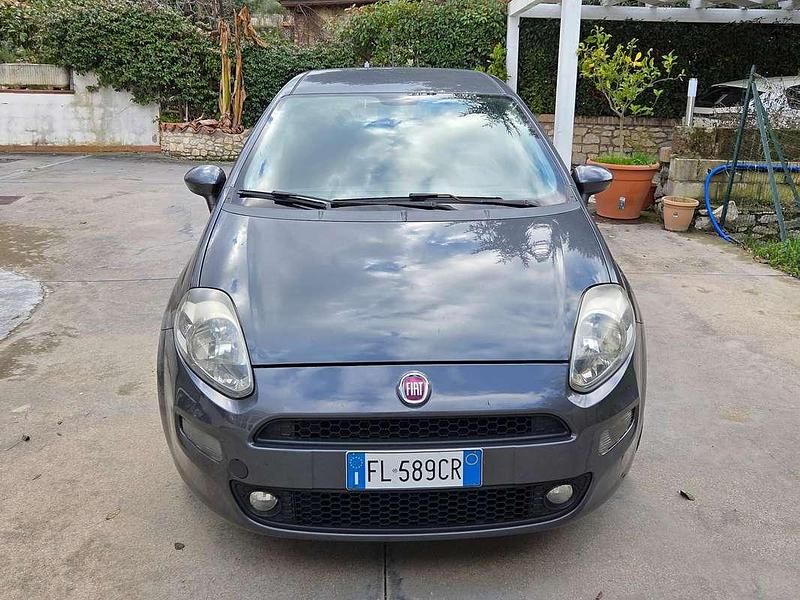 Usata Fiat Punto Lounge 69 CV (50 kW) 2017 Grigio Berlina