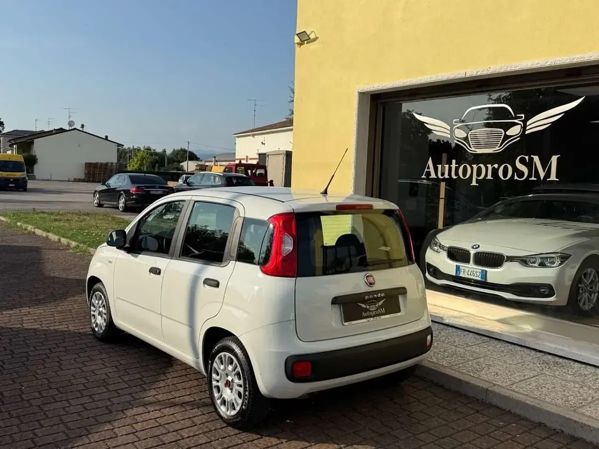 Usata Fiat Panda Easy 69 CV (50 kW) 2019 Bianco Utilitaria