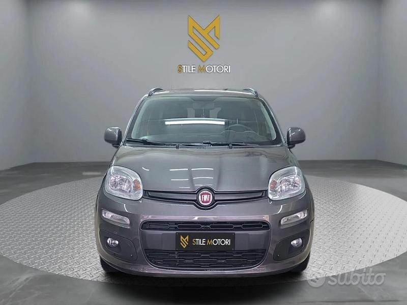 Usata Fiat Panda 69 CV (50 kW) 2019 Grigio Utilitaria