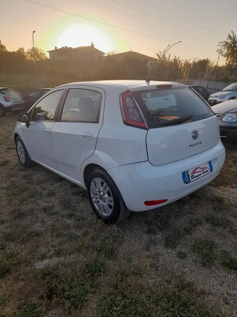 Usata Fiat Punto Lounge 85 CV (62 kW) 2012 Bianco Utilitaria