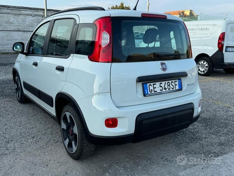 Usata Fiat Panda Cross Cross 70 CV (51 kW) 2021 Bianco Utilitaria
