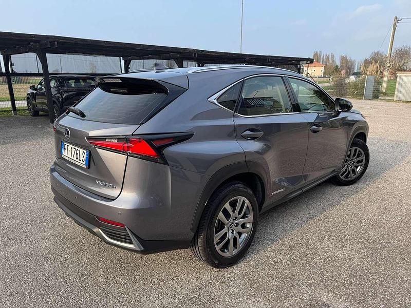 Usata Lexus NX300h Business Edition 155 CV (114 kW) 2019 Grigio SUV