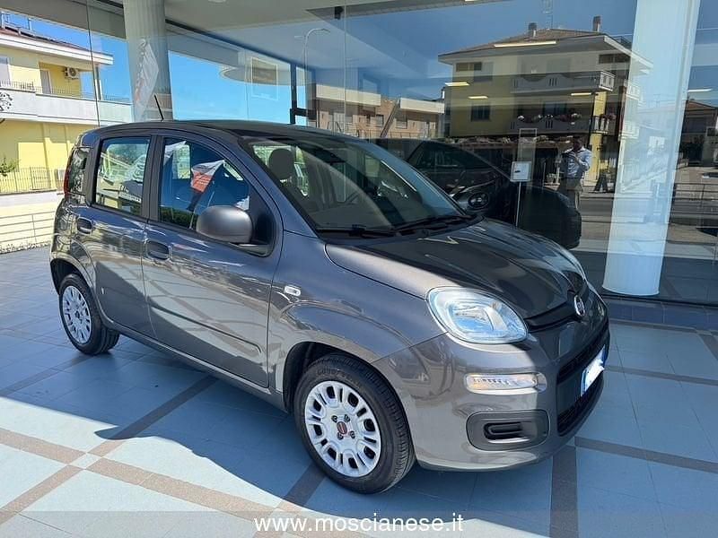 Usata Fiat Panda Easy 69 CV (50 kW) 2020 Grigio Utilitaria